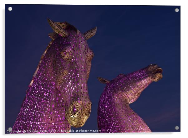Blue Hour at the Kelpies Acrylic by Stephen Taylor
