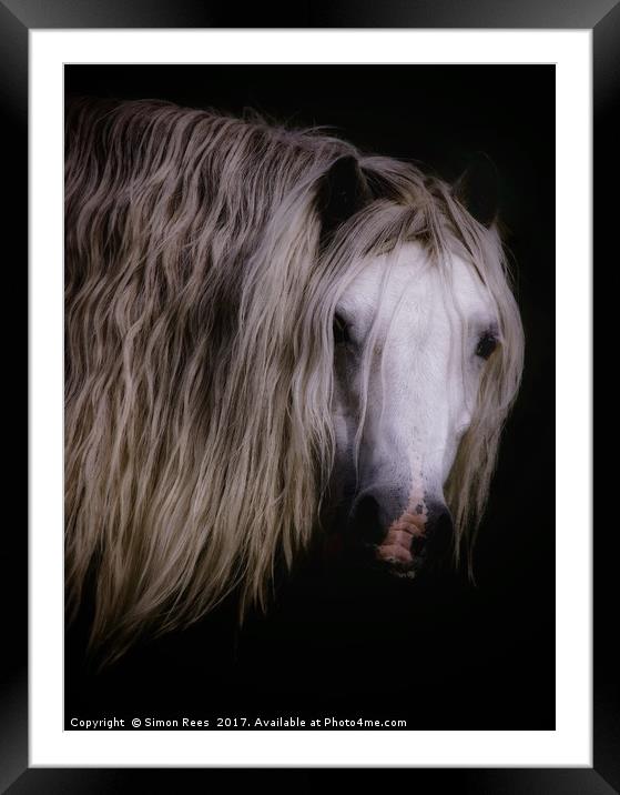 Wild Pony In Brecon Beacons  Framed Mounted Print by Simon Rees