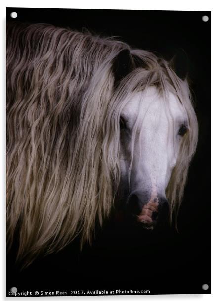 Wild Pony In Brecon Beacons  Acrylic by Simon Rees