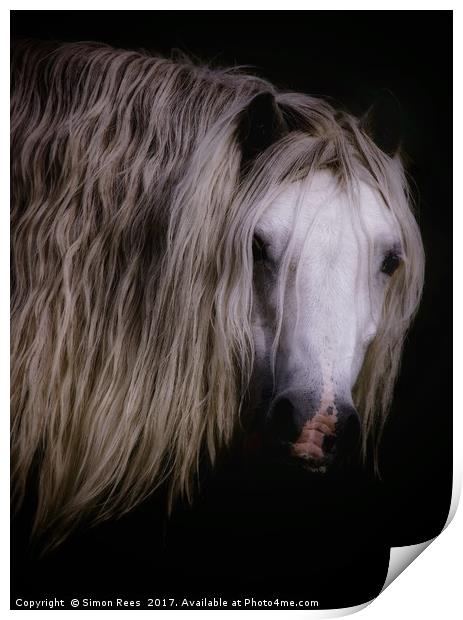 Wild Pony In Brecon Beacons  Print by Simon Rees