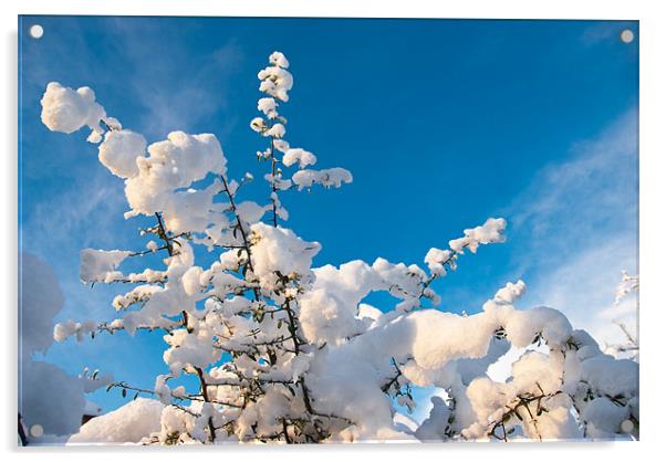 Snow Scene Acrylic by James Lavott