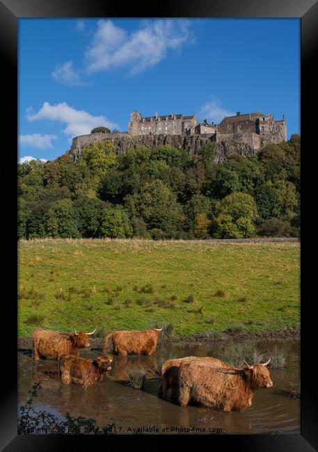 Coo's Under the Castle Framed Print by Eric Said