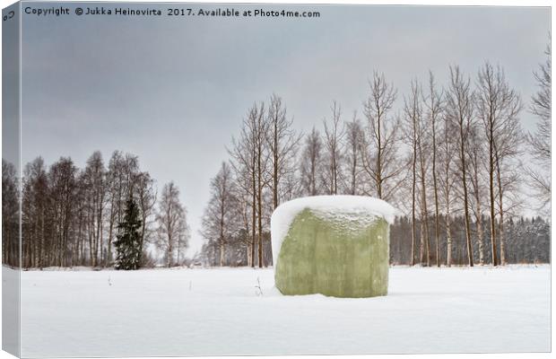 Green Roll Bale Covered With Snow Canvas Print by Jukka Heinovirta