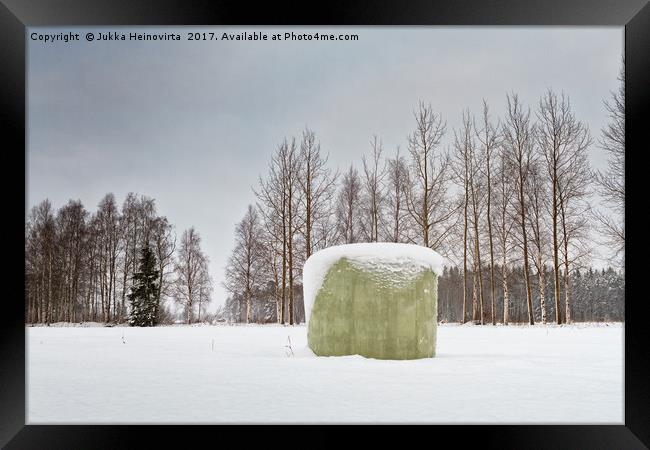 Green Roll Bale Covered With Snow Framed Print by Jukka Heinovirta