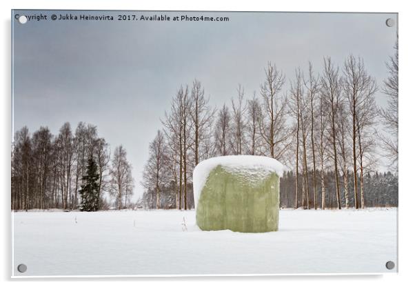 Green Roll Bale Covered With Snow Acrylic by Jukka Heinovirta