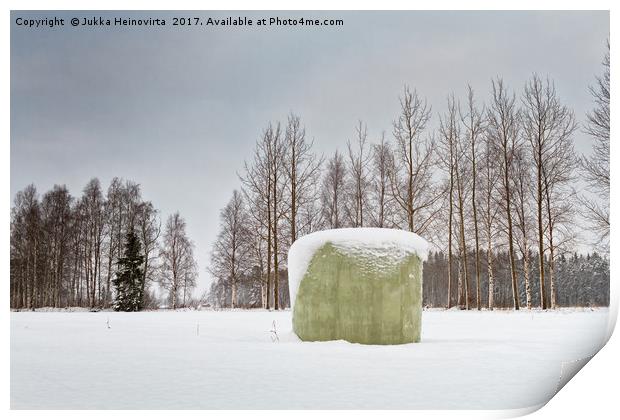 Green Roll Bale Covered With Snow Print by Jukka Heinovirta