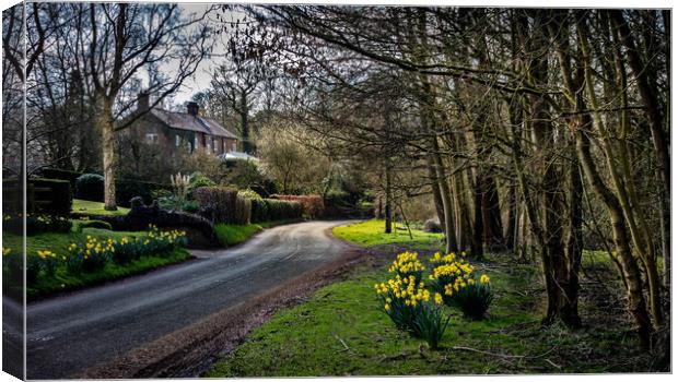 Little Bollington in Spring Canvas Print by chris east