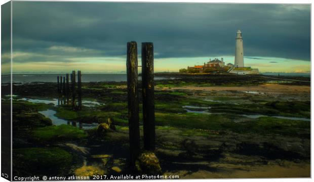 Tynemouth St Mary's Lighthouse  Canvas Print by Antony Atkinson