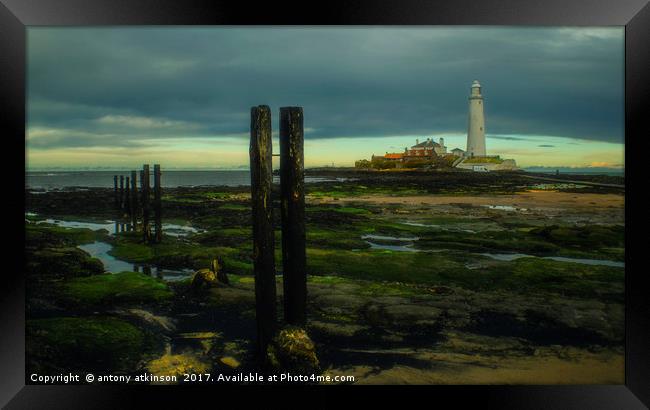 Tynemouth St Mary's Lighthouse  Framed Print by Antony Atkinson