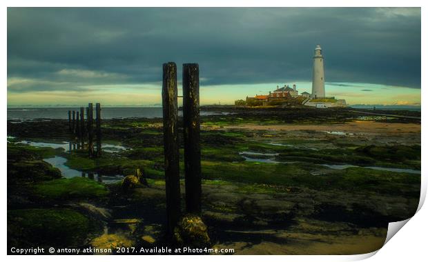 Tynemouth St Mary's Lighthouse  Print by Antony Atkinson