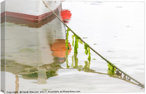 Seaweed and Boat Reflected Canvas Print by Heidi Stewart