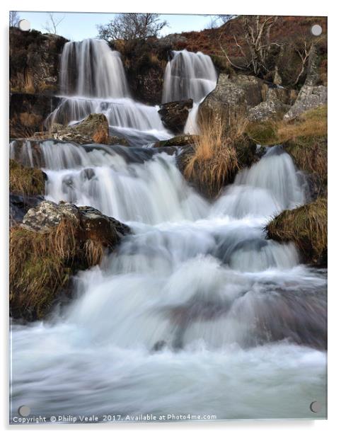 Nant Gwynllyn Waterfalls. Acrylic by Philip Veale