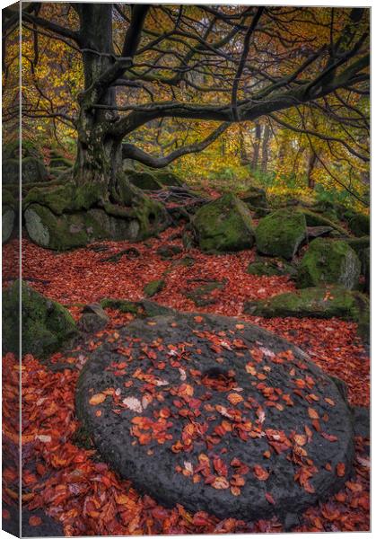 The Millstone Canvas Print by Paul Andrews