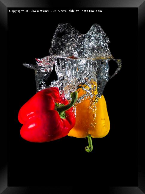 Red and Yellow pepper dropped in Water  Framed Print by Julia Watkins