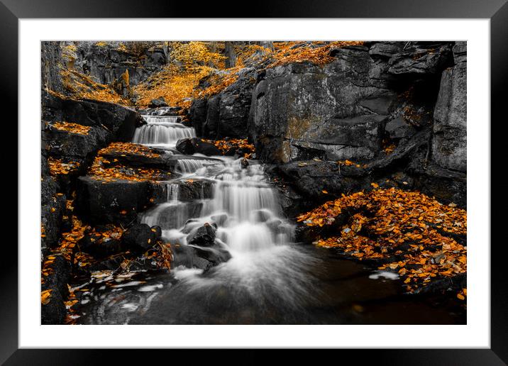Autumn Colurs at Lumsdale Framed Mounted Print by Jason Moss