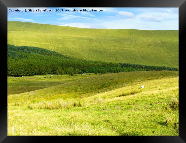 Brecon Beacons National Park II Framed Print by Gisela Scheffbuch