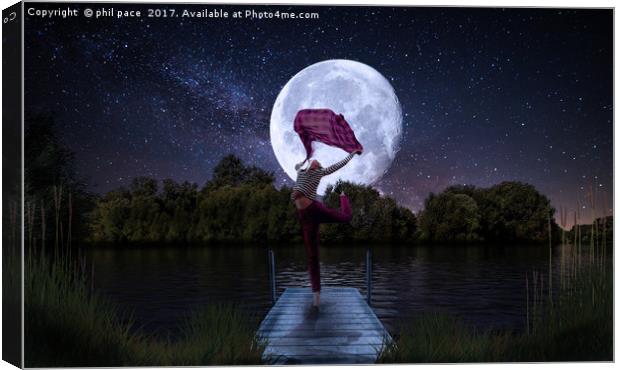 Moonlight Dance Canvas Print by phil pace