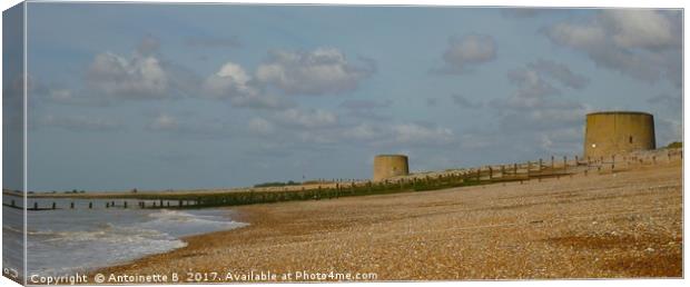 Martello Towers  Canvas Print by Antoinette B