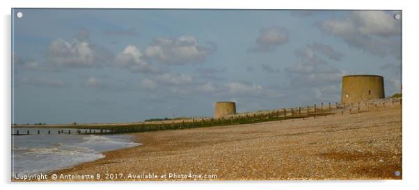 Martello Towers  Acrylic by Antoinette B