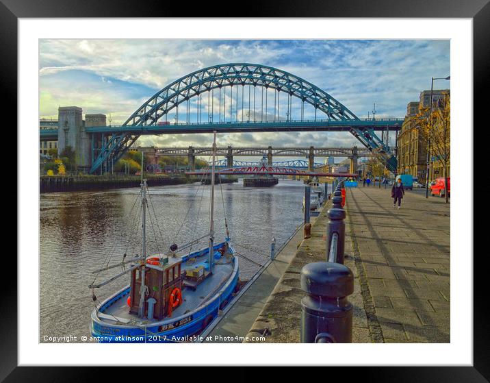 Today at the Quayside Framed Mounted Print by Antony Atkinson