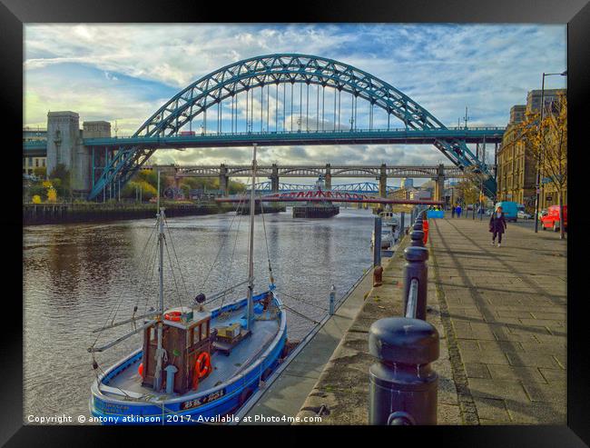 Today at the Quayside Framed Print by Antony Atkinson