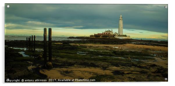 Tynemouth Lighthouse Acrylic by Antony Atkinson