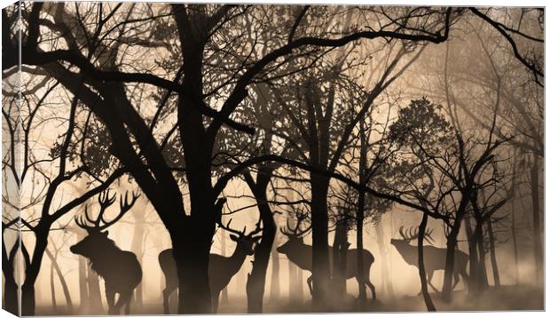 four deer  Canvas Print by Guido Parmiggiani