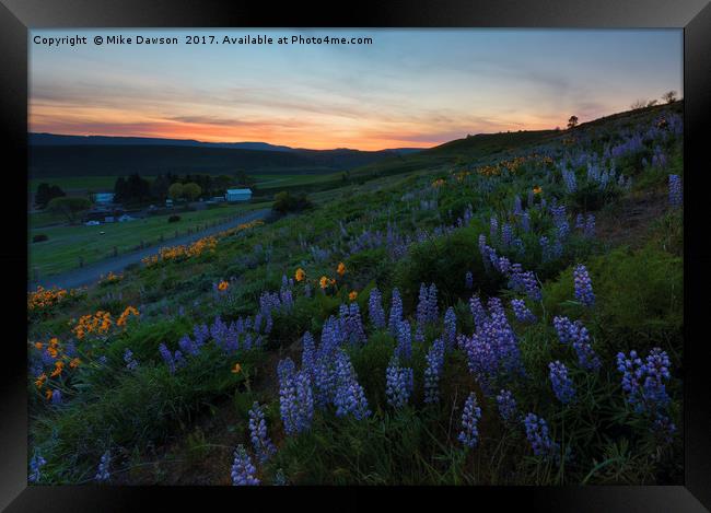 Country Meadow Sunset Framed Print by Mike Dawson