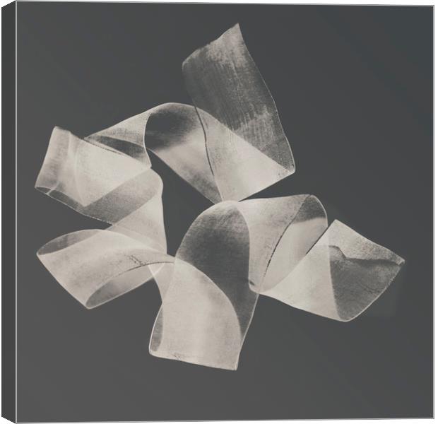 Abstract nylon ribbon pattern  Canvas Print by Larisa Siverina