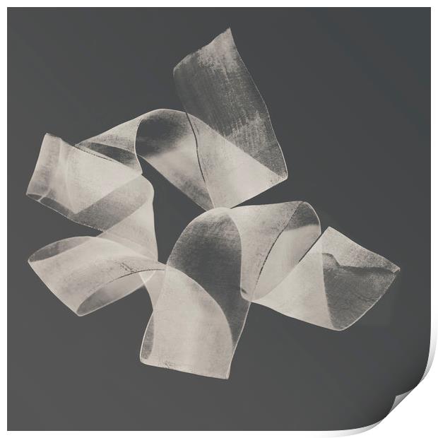 Abstract nylon ribbon pattern  Print by Larisa Siverina
