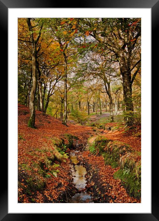 Colourful Autumn Framed Mounted Print by David McCulloch