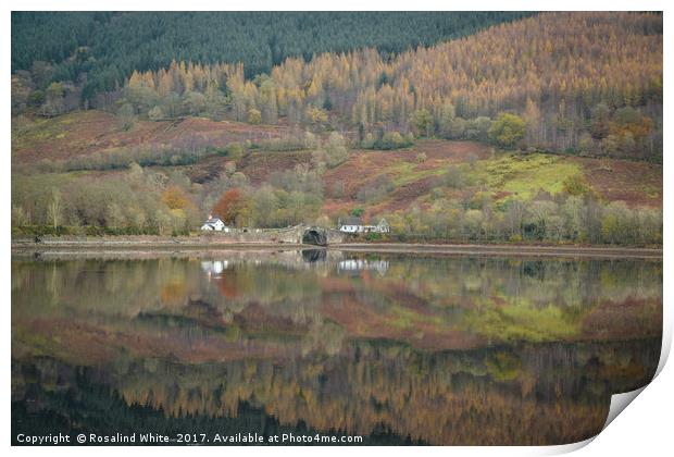 Autumn Reflections in the Highlands Print by Rosalind White