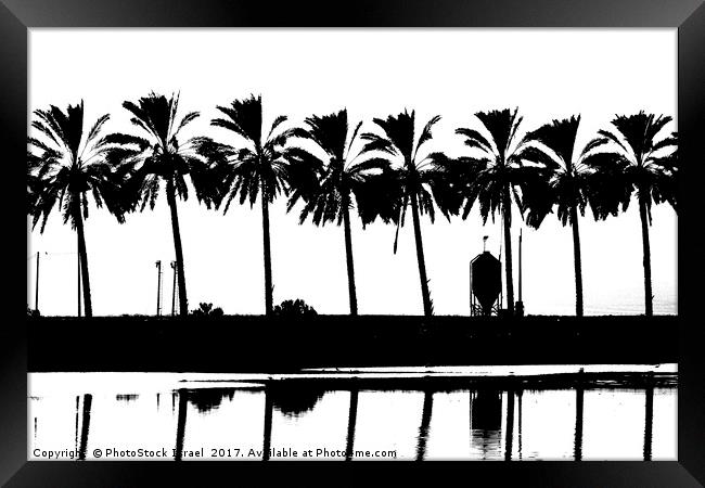 silhouette of palm trees Israel Framed Print by PhotoStock Israel