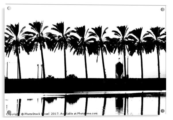 silhouette of palm trees Israel Acrylic by PhotoStock Israel