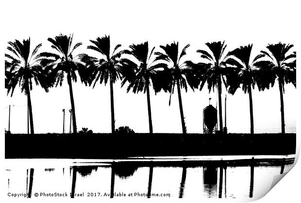 silhouette of palm trees Israel Print by PhotoStock Israel