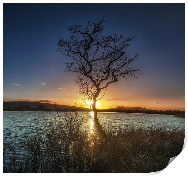 Sunset at Broad Pool Print by Leighton Collins