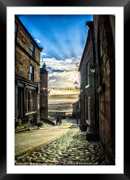 Whilst out walking at Robin Hood's Bay Framed Mounted Print by Antony Atkinson