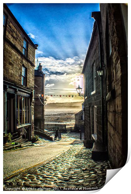 Whilst out walking at Robin Hood's Bay Print by Antony Atkinson