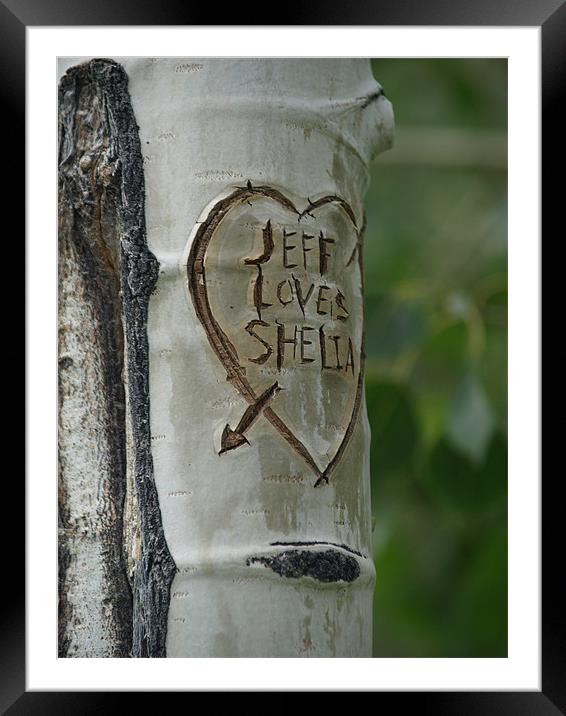 Aspen tree carving Framed Mounted Print by Patti Barrett