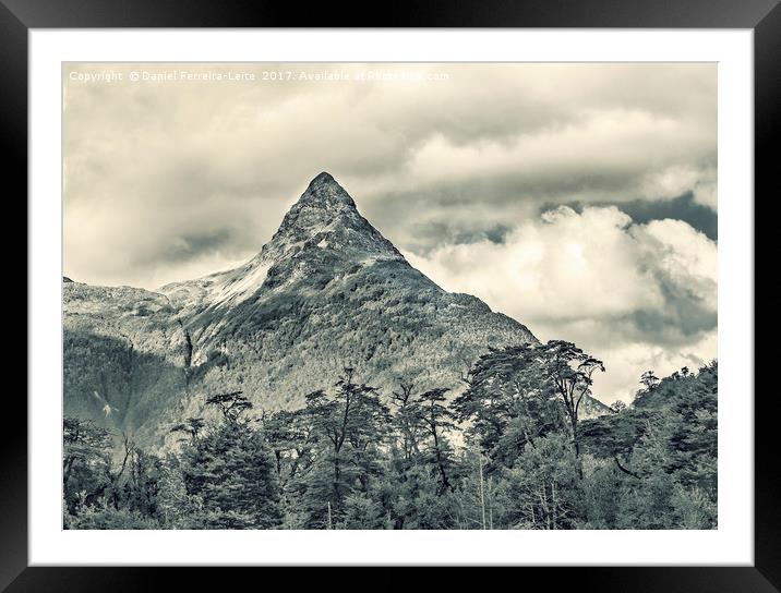 Patagonia Forest Landscape, Aysen, Chile Framed Mounted Print by Daniel Ferreira-Leite