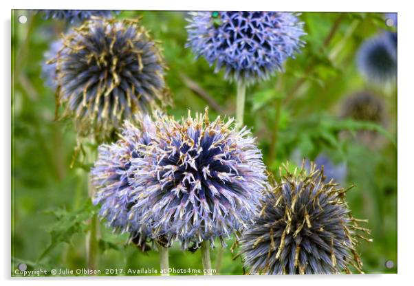 Wild Violet Blue Flowers in Norfolk Acrylic by Julie Olbison
