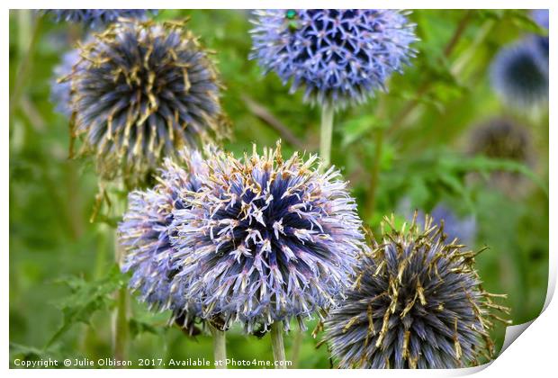 Wild Violet Blue Flowers in Norfolk Print by Julie Olbison