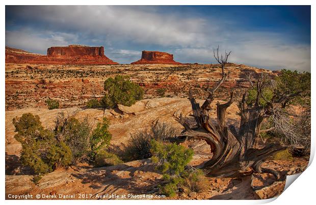 Capitol Reef, Utah  Print by Derek Daniel