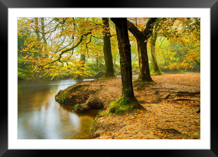 Japanese Golitha Falls Framed Mounted Print by Michael Brookes