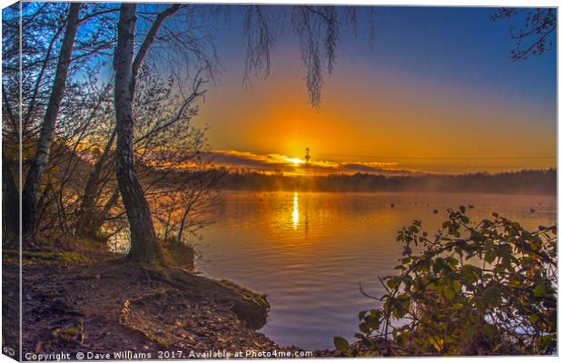 A New Day Begins  Canvas Print by Dave Williams