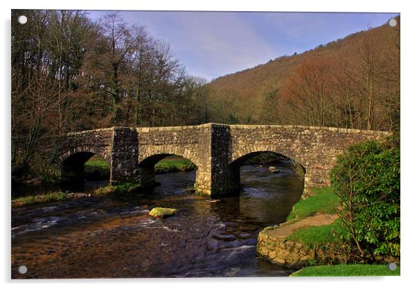 Fingle bridge - Dartmoor Acrylic by Pete Hemington