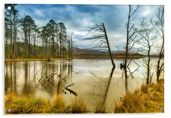 Loch Mallachie Acrylic by Alan Simpson