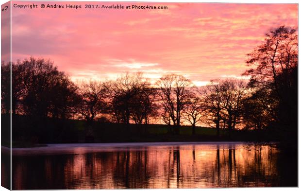 Evening Sunset Canvas Print by Andrew Heaps