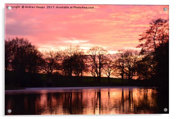 Evening Sunset Acrylic by Andrew Heaps