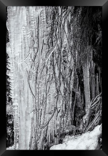 Icicles, No. 5 bw Framed Print by Belinda Greb